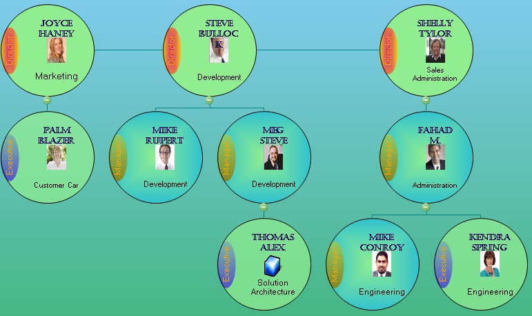 Sample - Circular Organization Chart