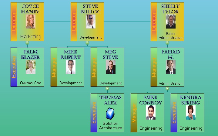 Sample - Normal Organization Chart