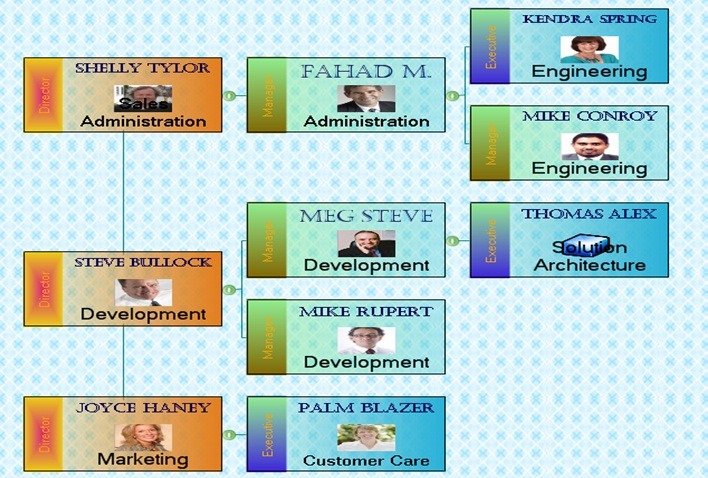 Sample - Semi-Transparent Organization Chart