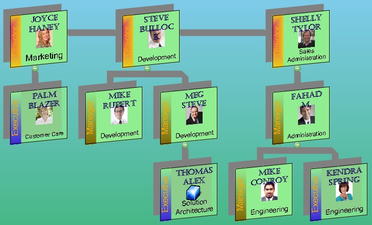 Sample - Shaded Organization Chart