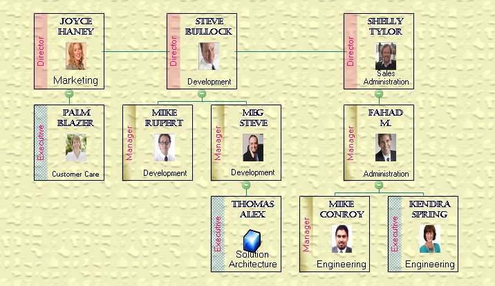 Sample - Transparent Organization Chart