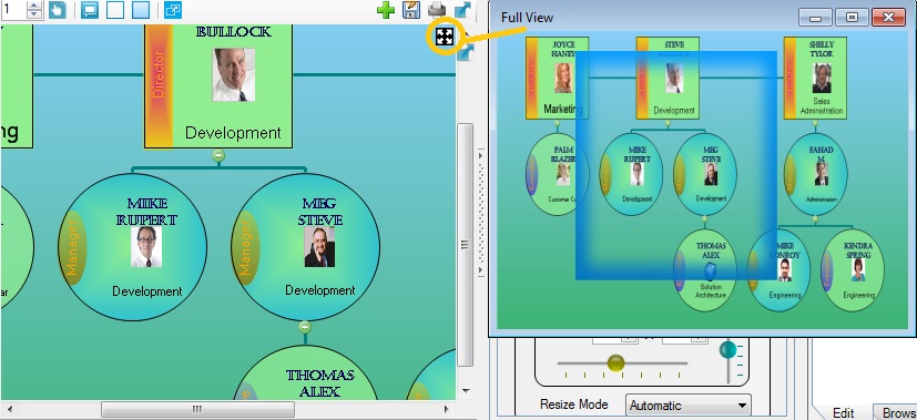 Organization Chart - Full View